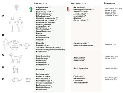 Giardia spp. and the Gut Microbiota: Dangerous Liaisons